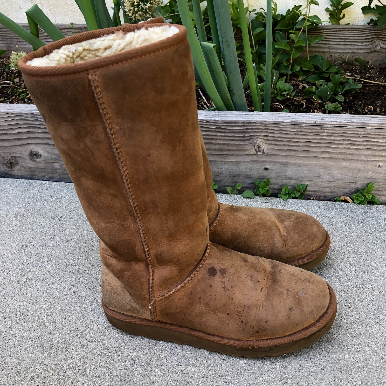UGG AUSTRALIA Classic Tall II Boots W8 Womens Chestnut Shearling Leather 1016224