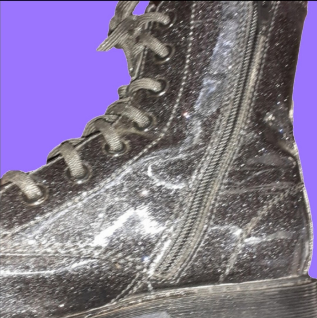 Very SPARKLY Boots!